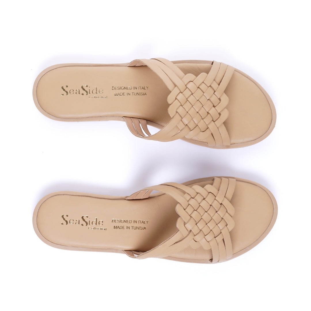 claquette nouvelle collection,
